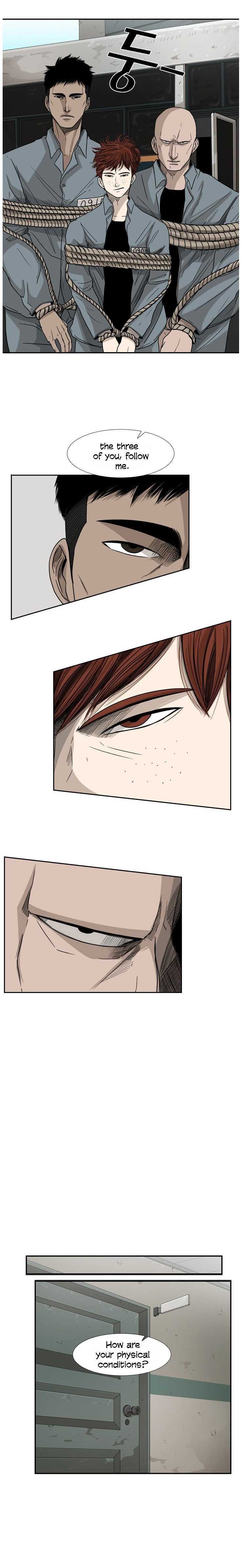 Read Shark Manga Online