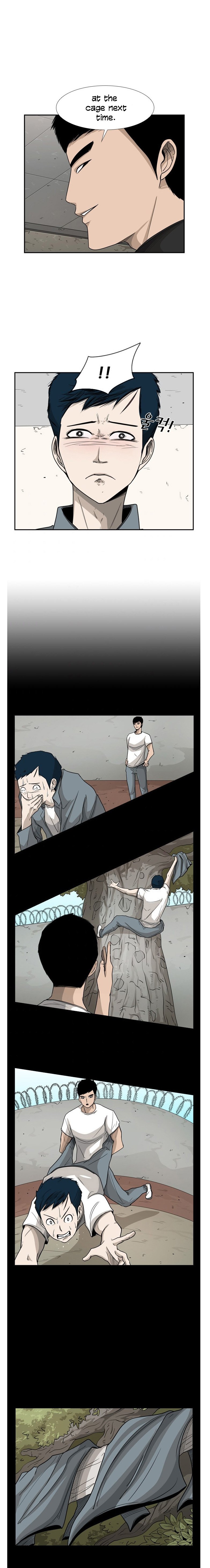 Read Shark Manga Online