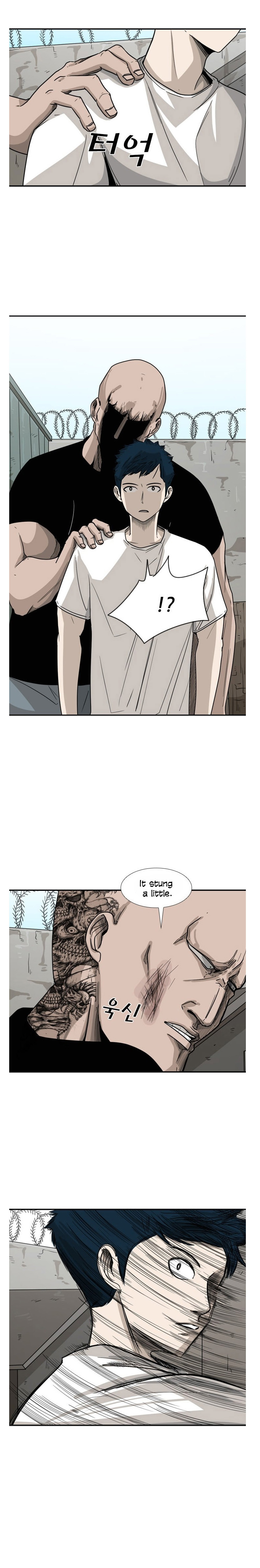 Read Shark Manga Online