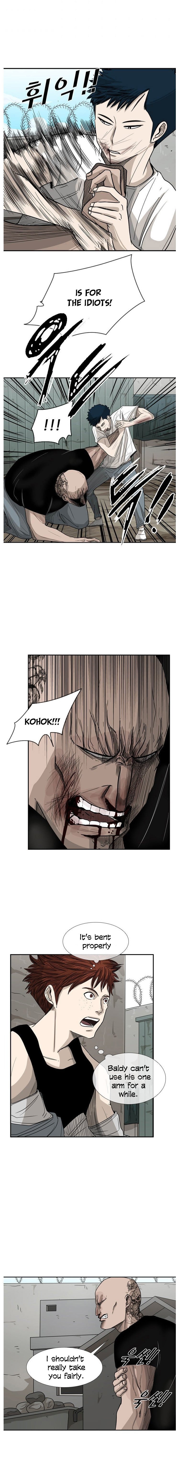 Read Shark Manga Online