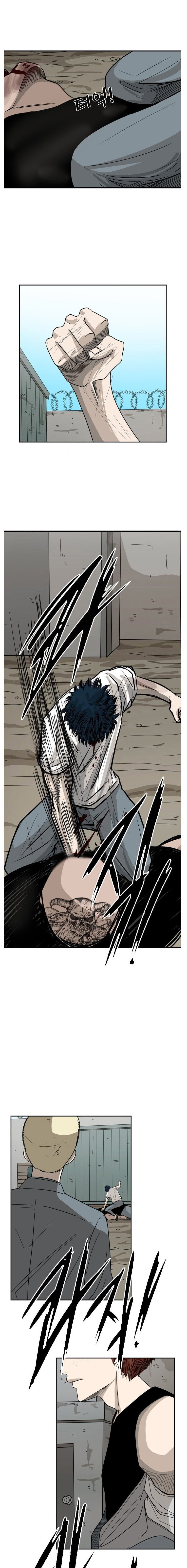 Read Shark Manga Online