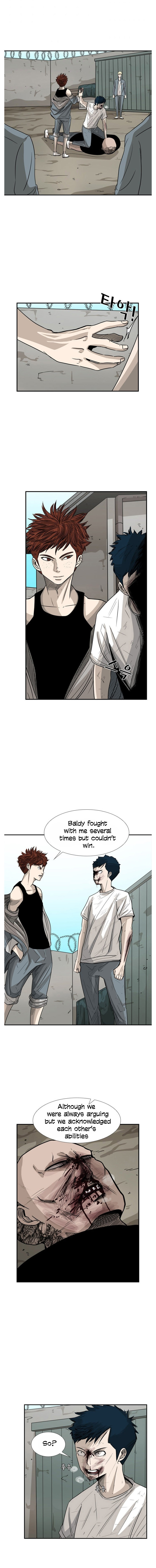 Read Shark Manga Online