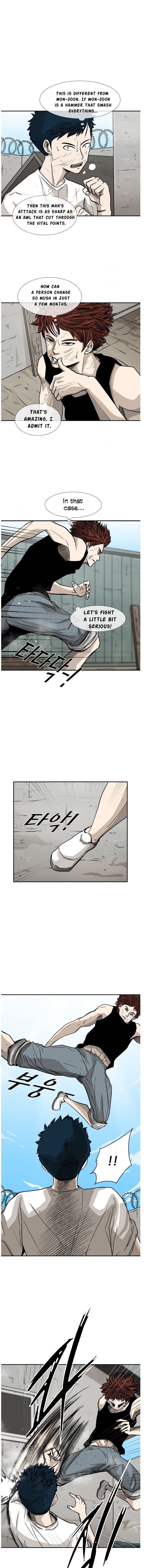 Read Shark Manga Online