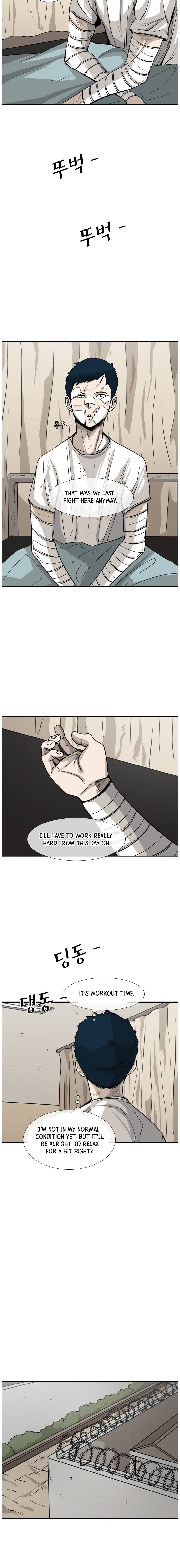 Read Shark Manga Online