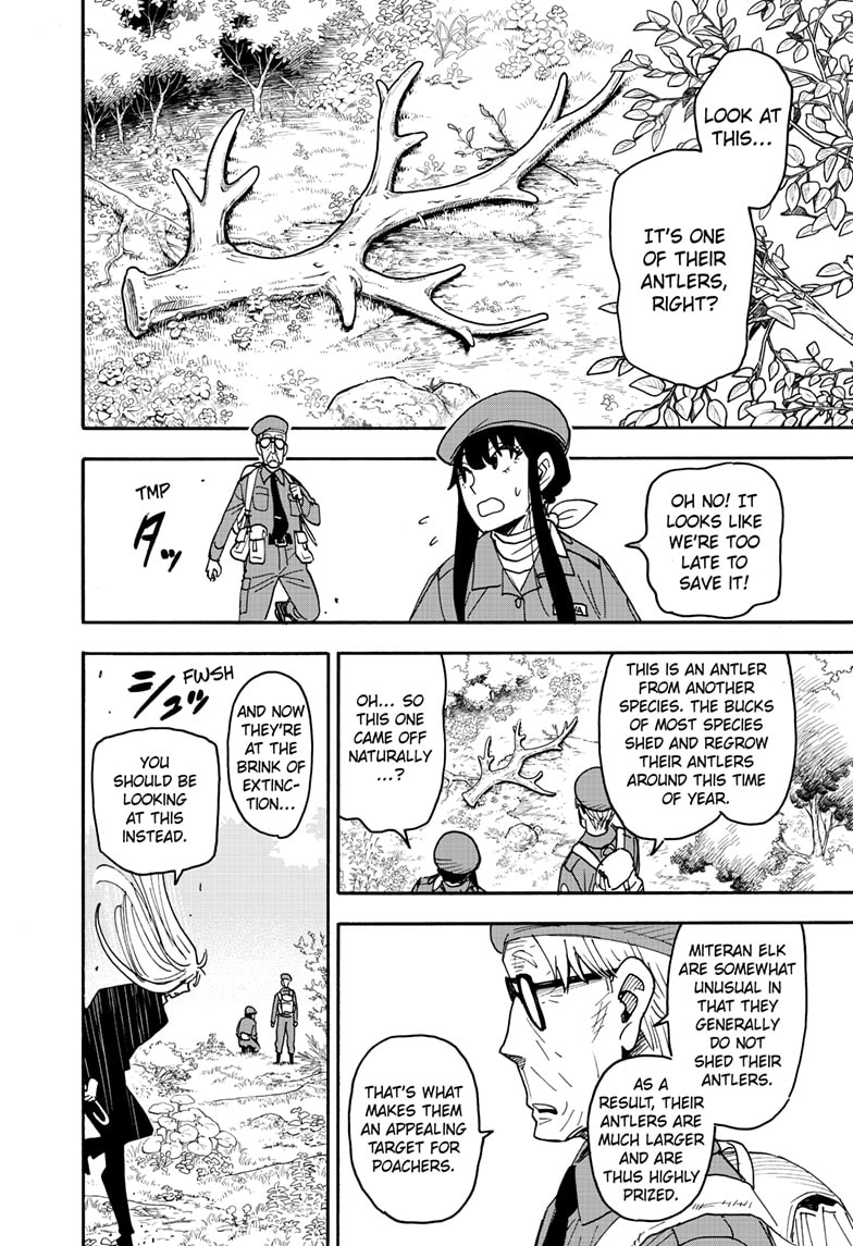 Read Spy x Family Manga Online