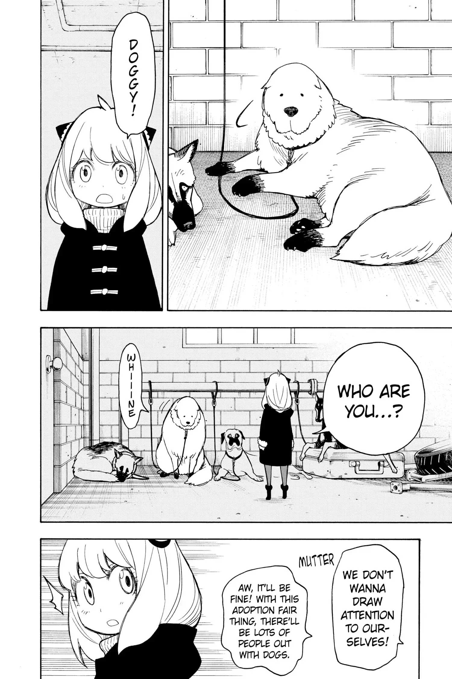 Read Spy x Family Manga Online