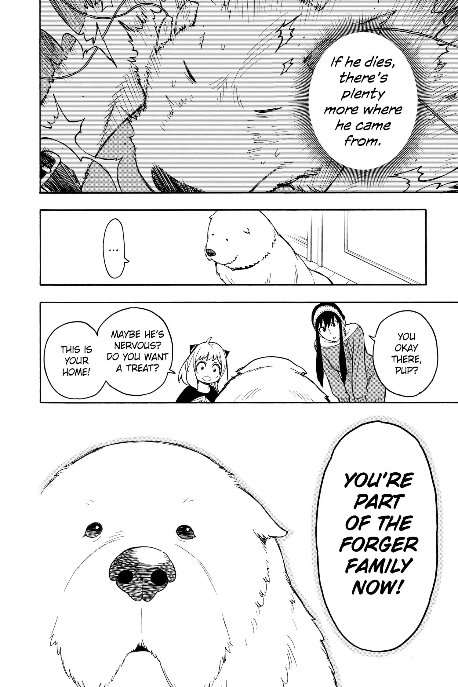 Read Spy x Family Manga Online