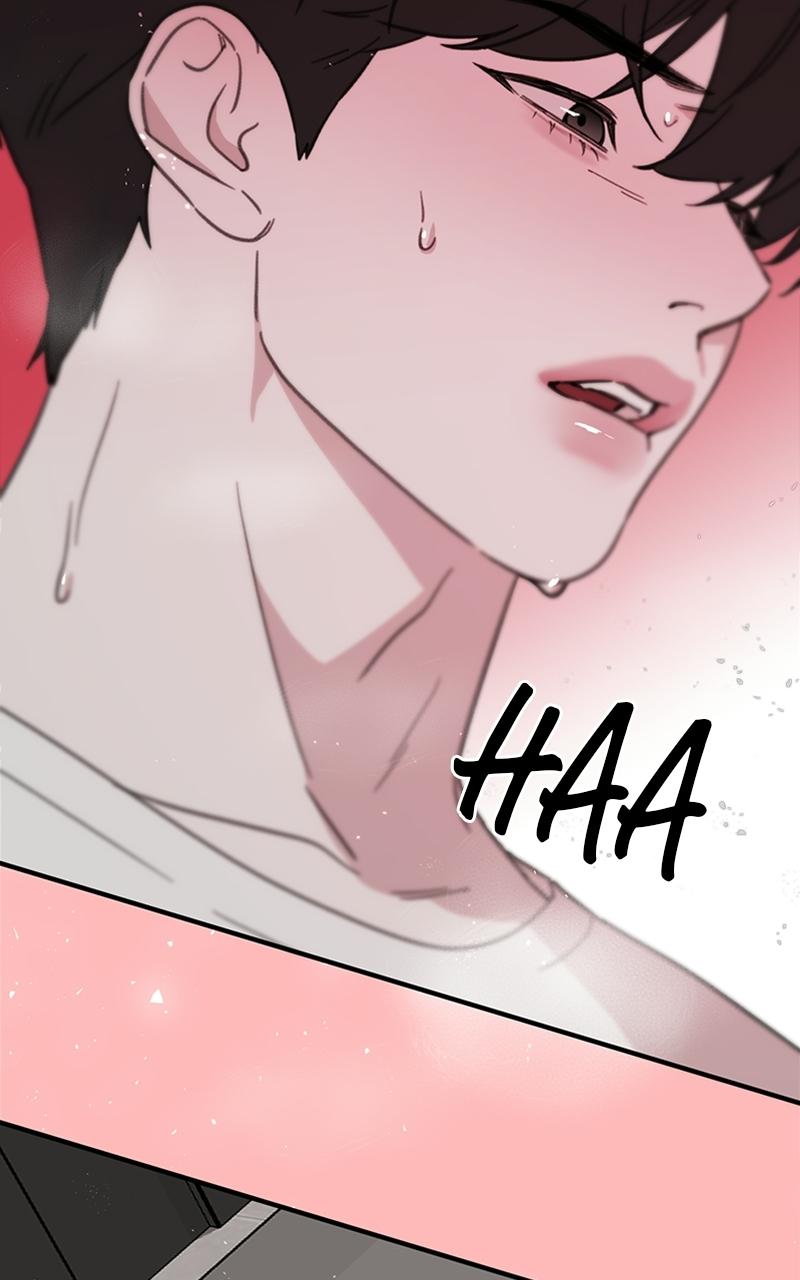 Read Sweet Romance Spicy Roommates Manga Online