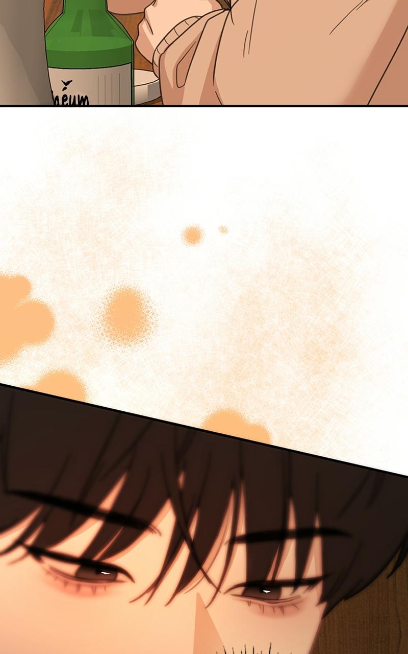 Read Sweet Romance Spicy Roommates Manga Online