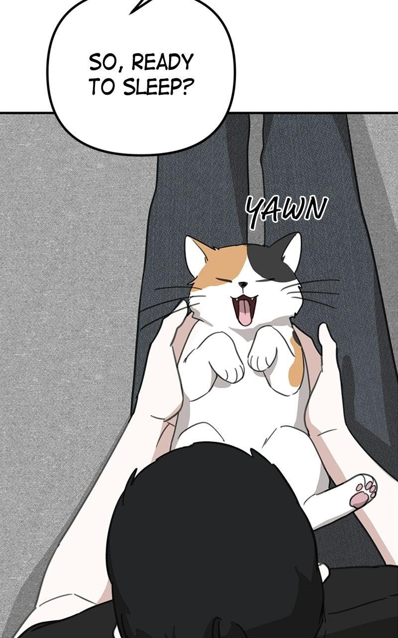 Read Sweet Romance Spicy Roommates Manga Online