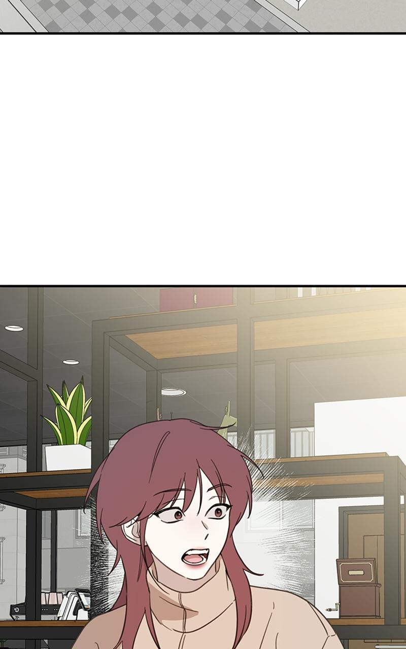 Read Sweet Romance Spicy Roommates Manga Online