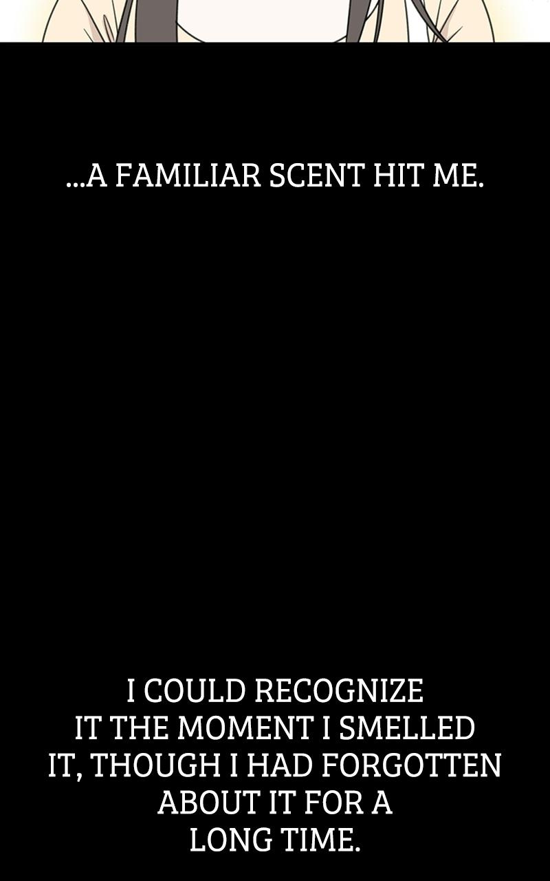 Read Sweet Romance Spicy Roommates Manga Online