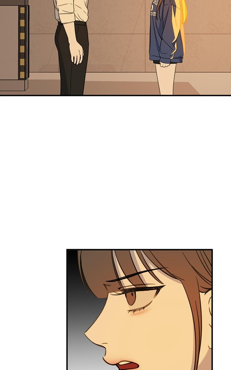 Read Sweet Romance Spicy Roommates Manga Online