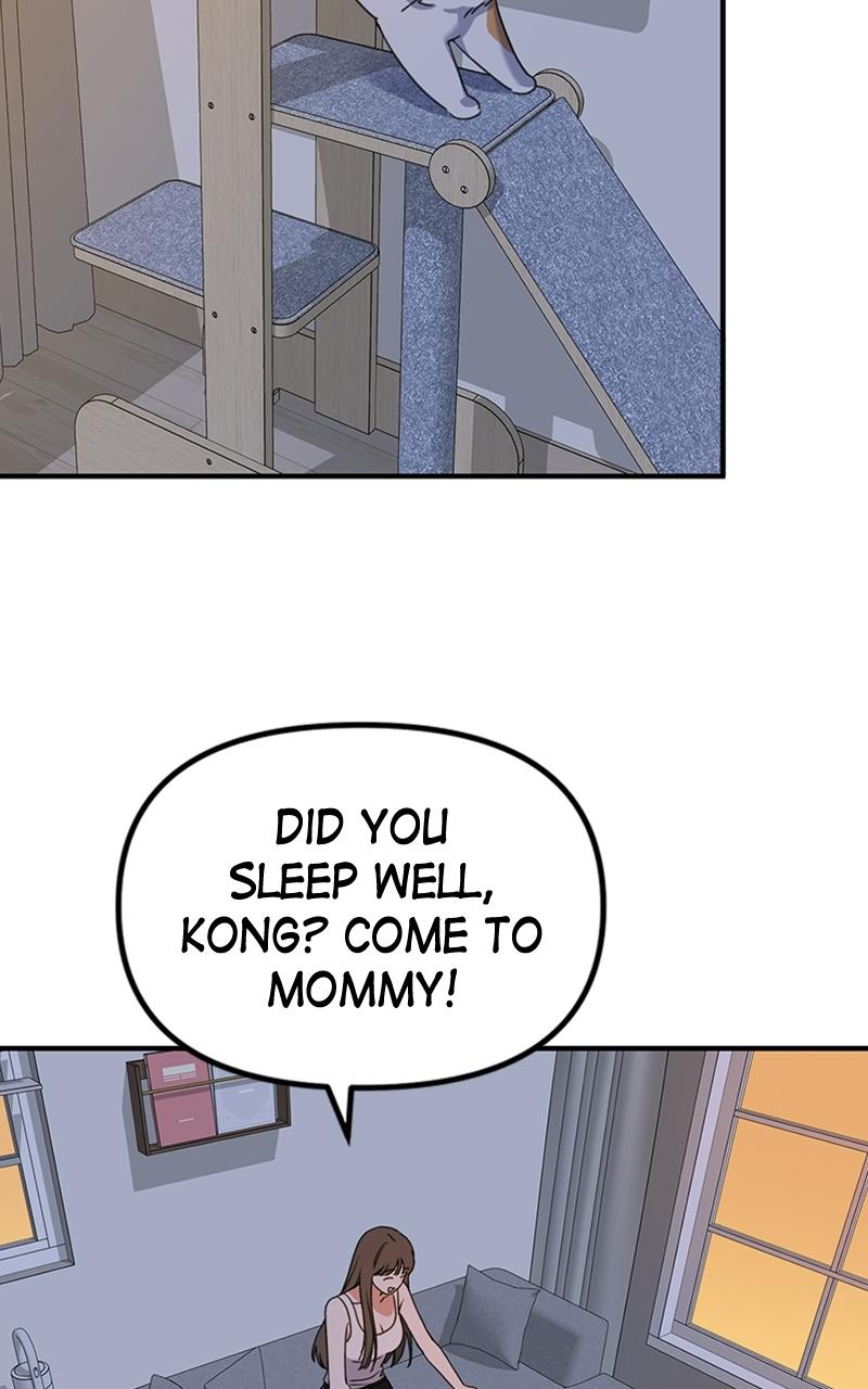 Read Sweet Romance Spicy Roommates Manga Online