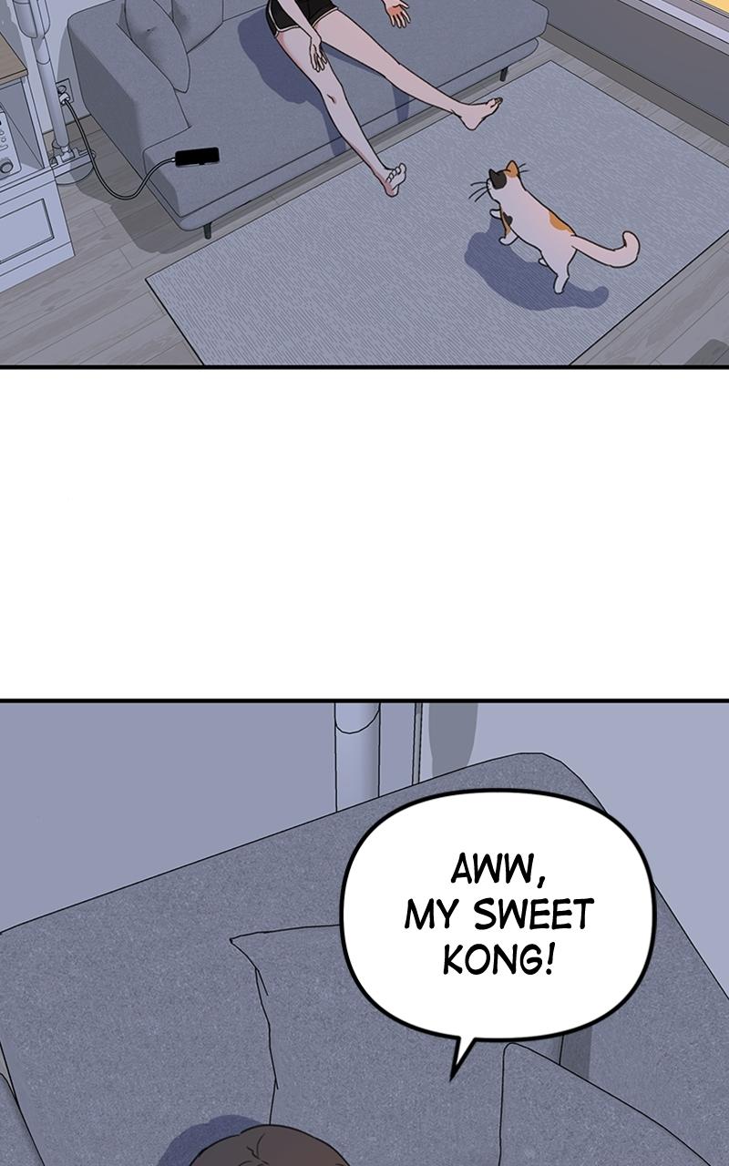 Read Sweet Romance Spicy Roommates Manga Online