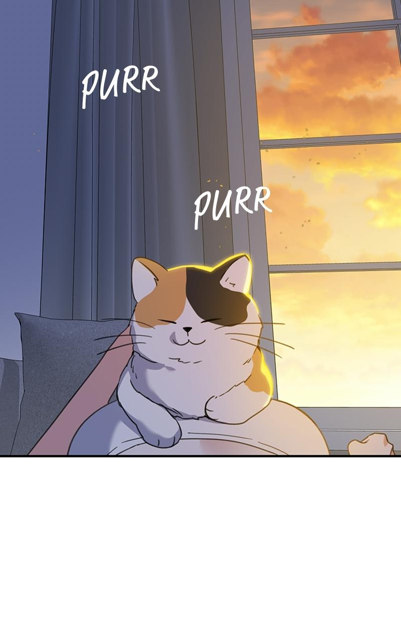 Read Sweet Romance Spicy Roommates Manga Online