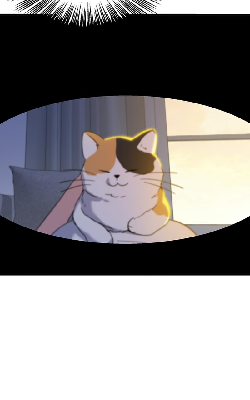 Read Sweet Romance Spicy Roommates Manga Online