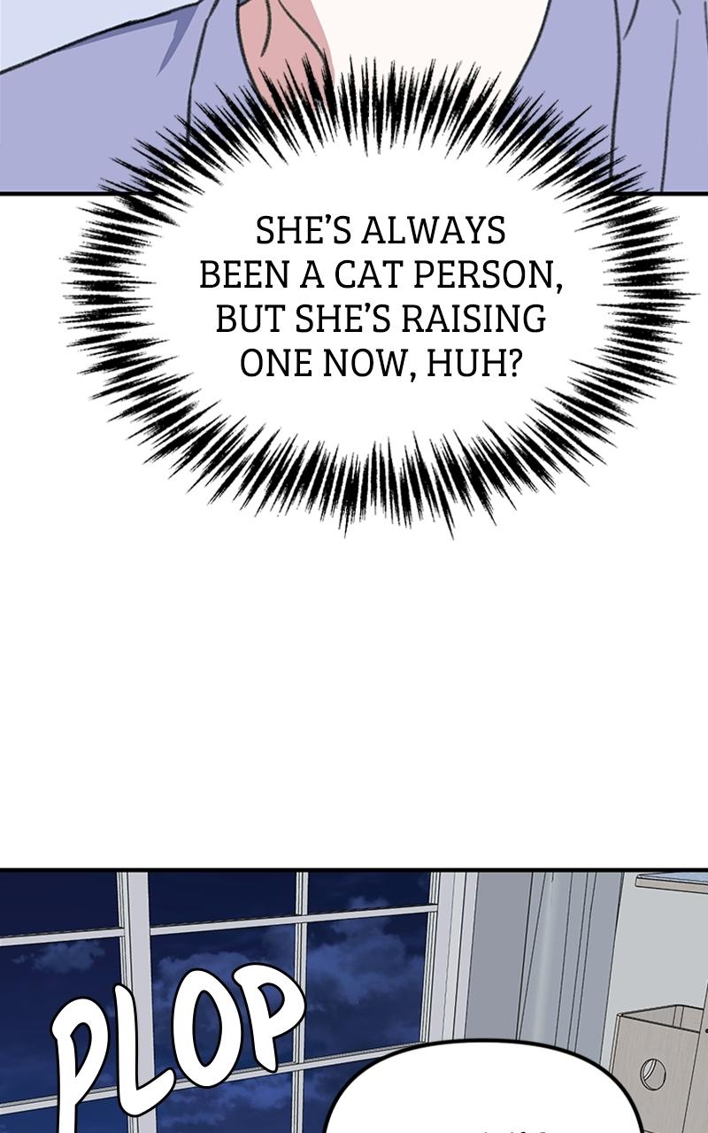 Read Sweet Romance Spicy Roommates Manga Online