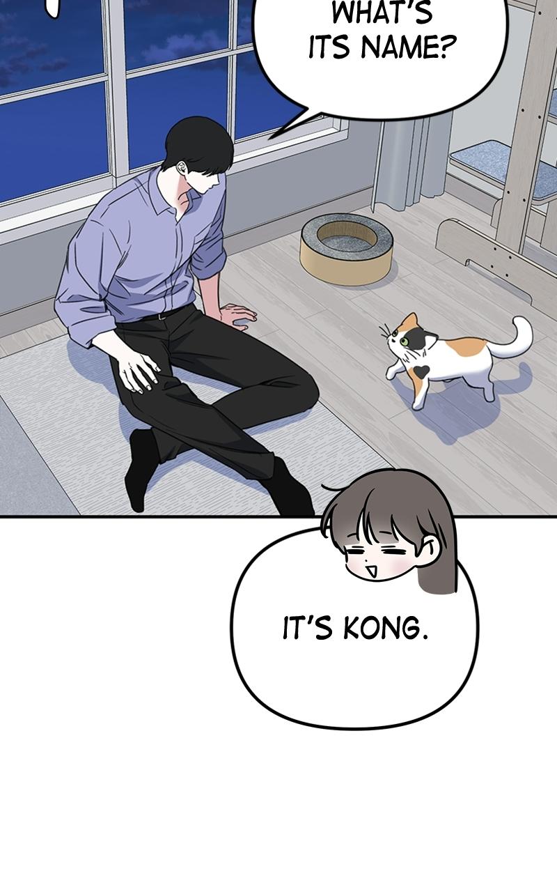 Read Sweet Romance Spicy Roommates Manga Online