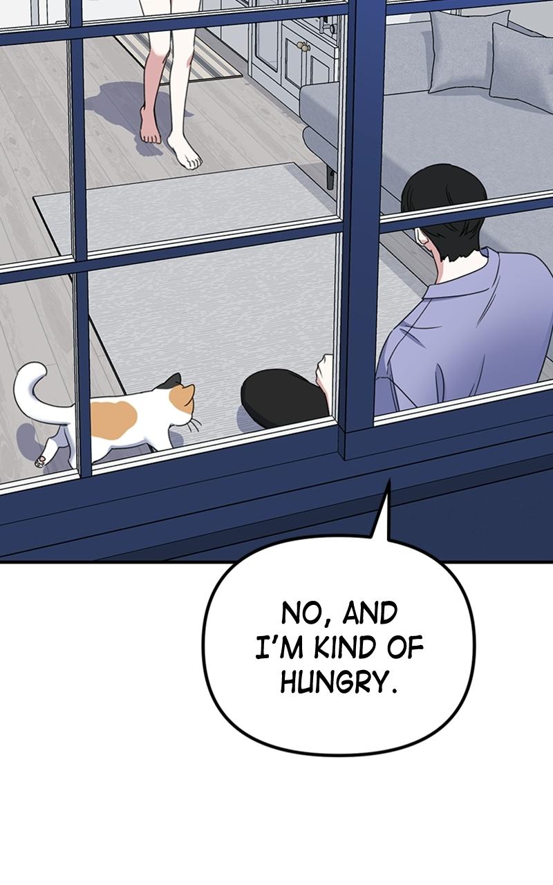 Read Sweet Romance Spicy Roommates Manga Online