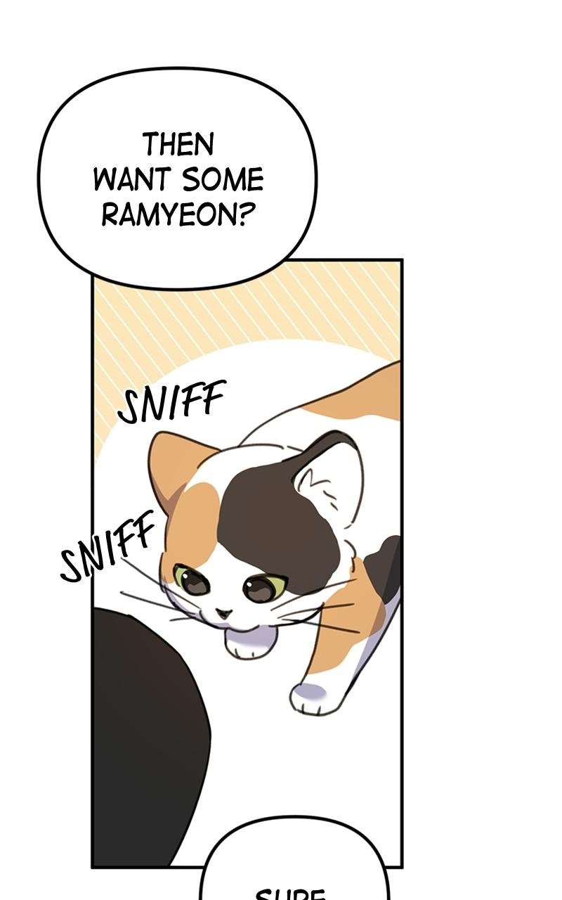 Read Sweet Romance Spicy Roommates Manga Online