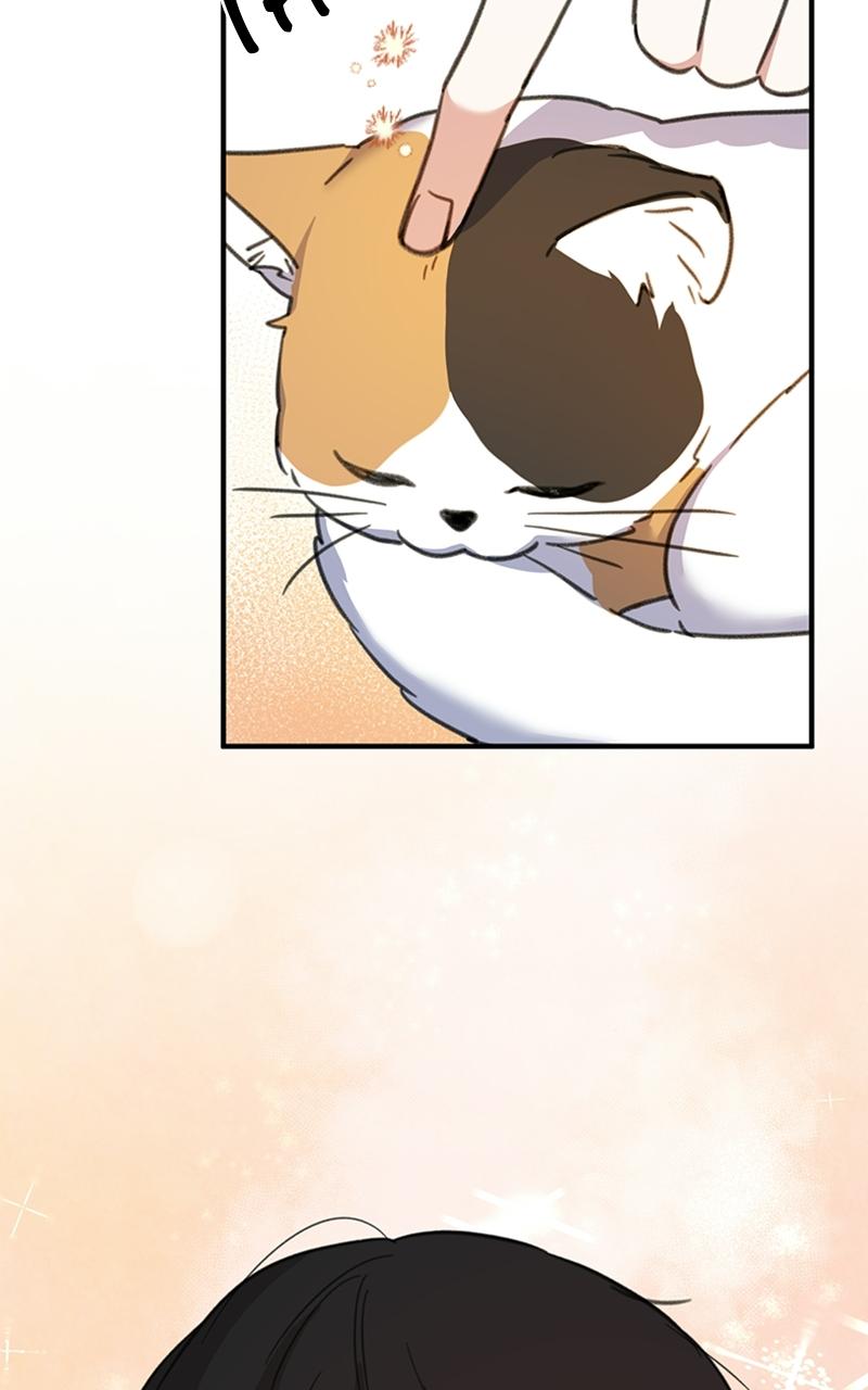 Read Sweet Romance Spicy Roommates Manga Online