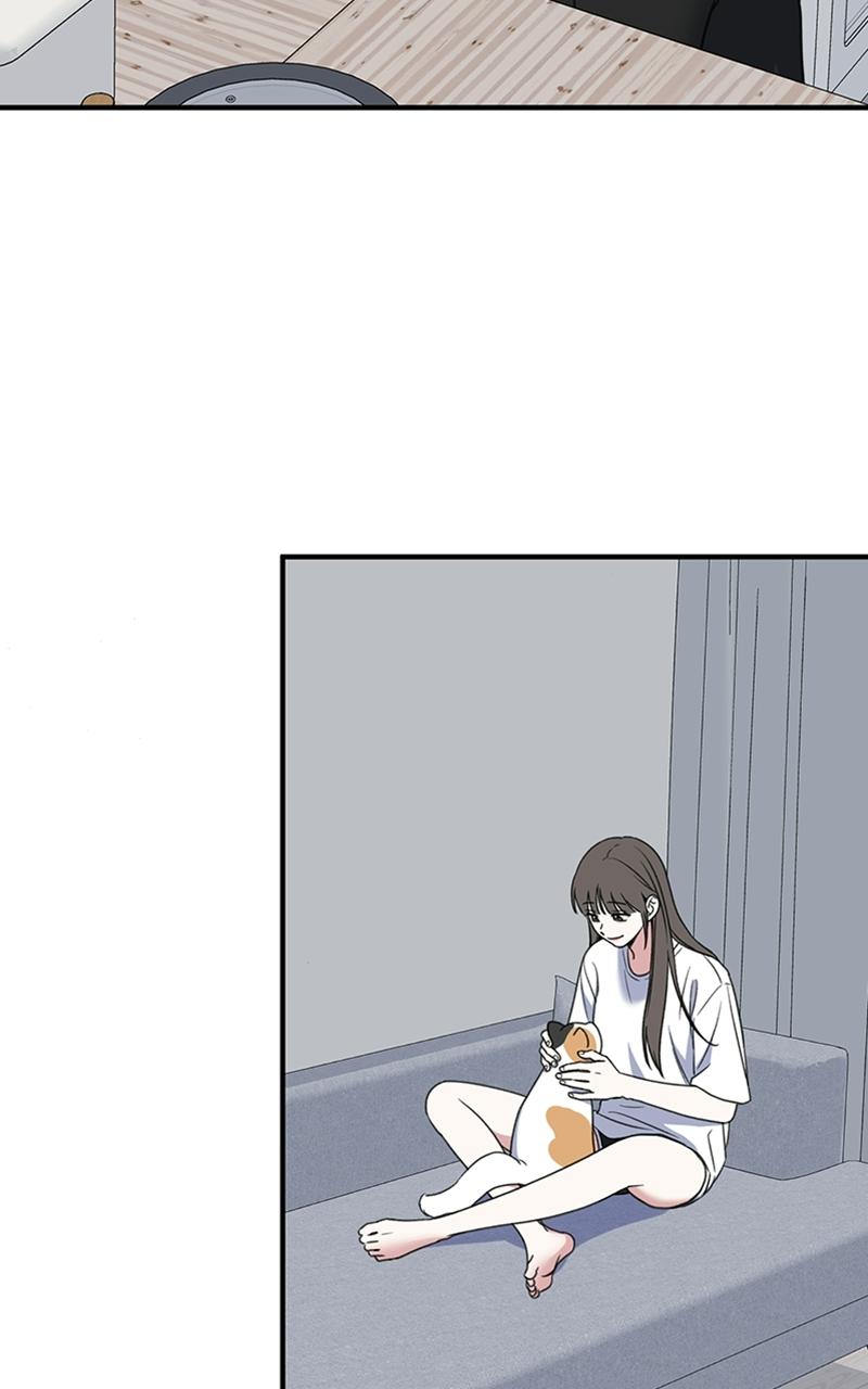 Read Sweet Romance Spicy Roommates Manga Online