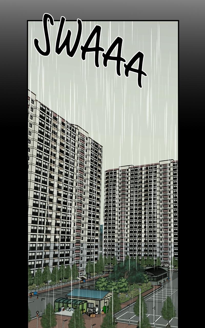 Read Sweet Romance Spicy Roommates Manga Online