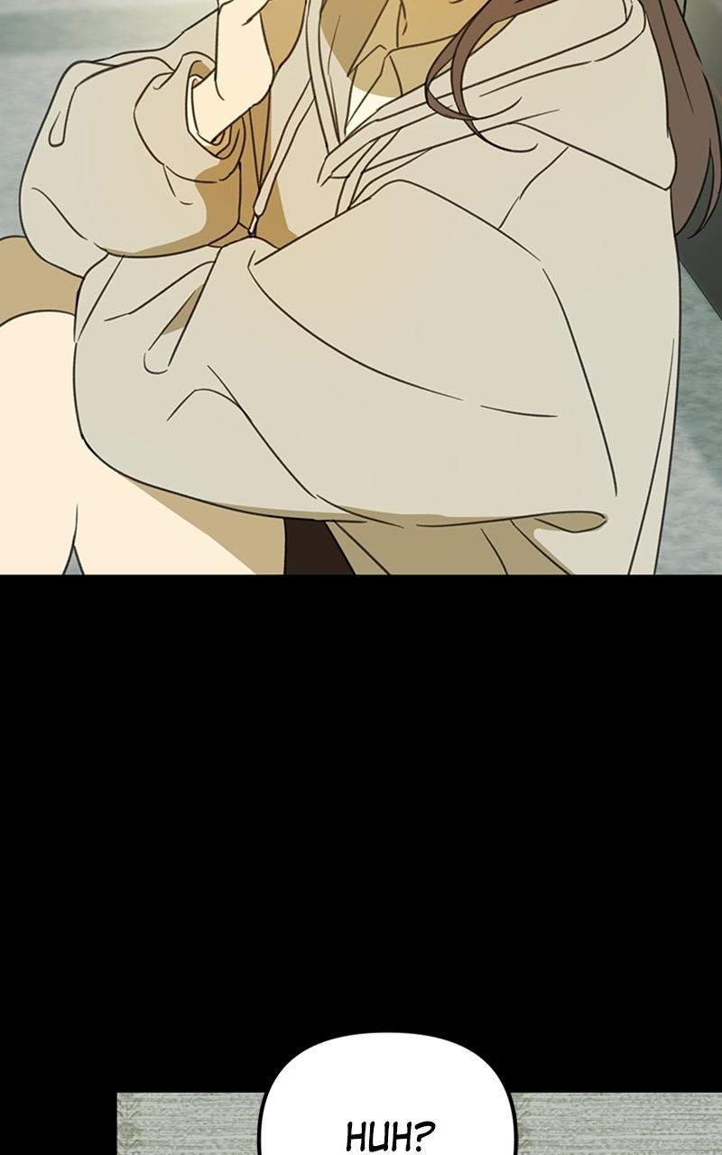 Read Sweet Romance Spicy Roommates Manga Online