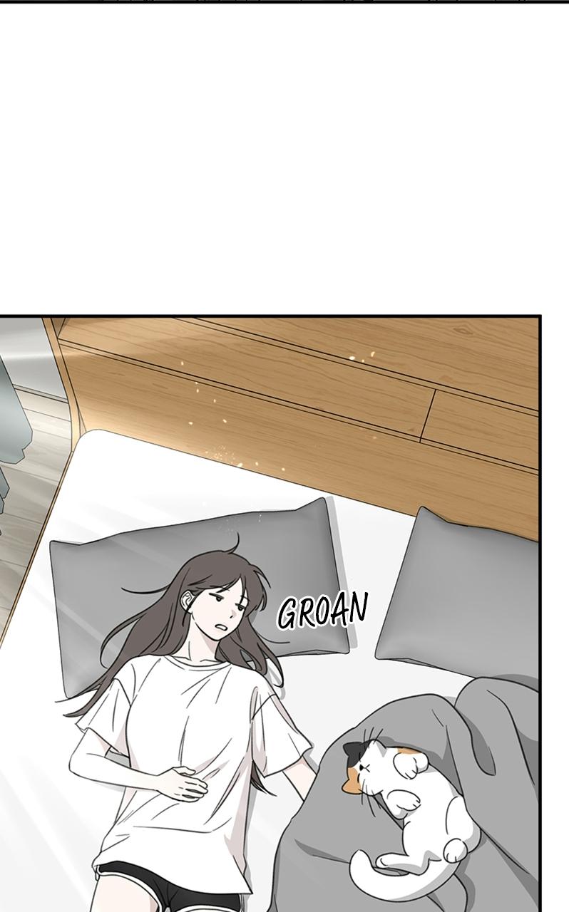 Read Sweet Romance Spicy Roommates Manga Online