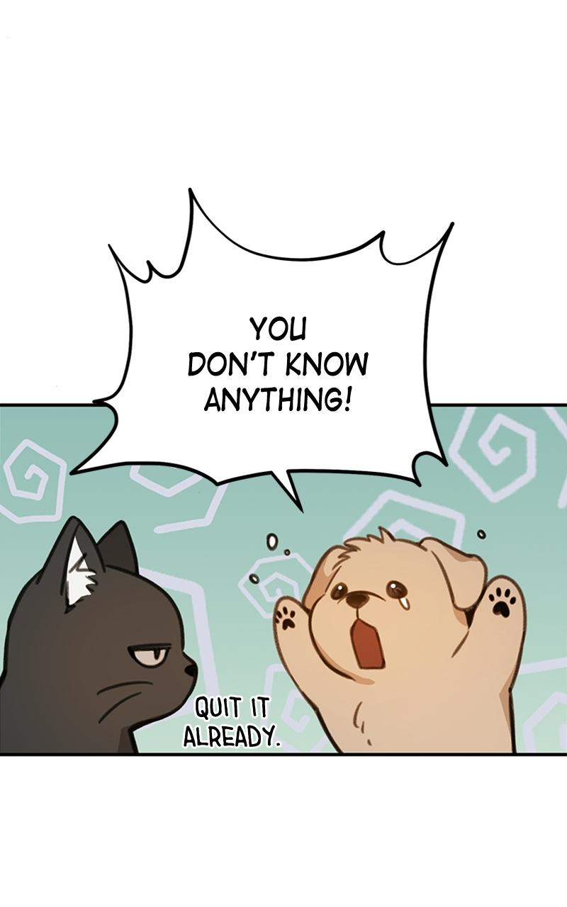 Read Sweet Romance Spicy Roommates Manga Online