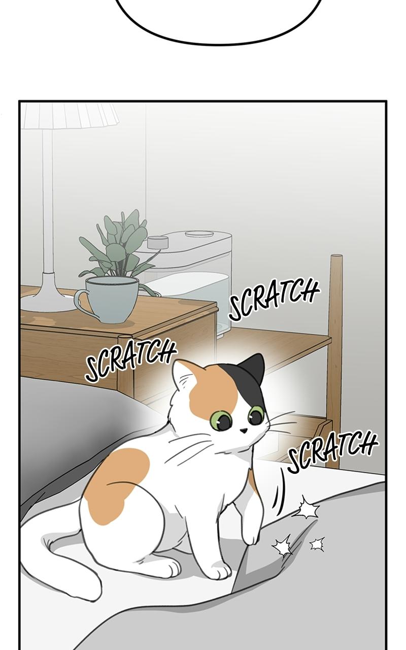 Read Sweet Romance Spicy Roommates Manga Online