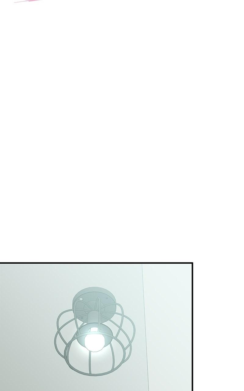 Read Sweet Romance Spicy Roommates Manga Online