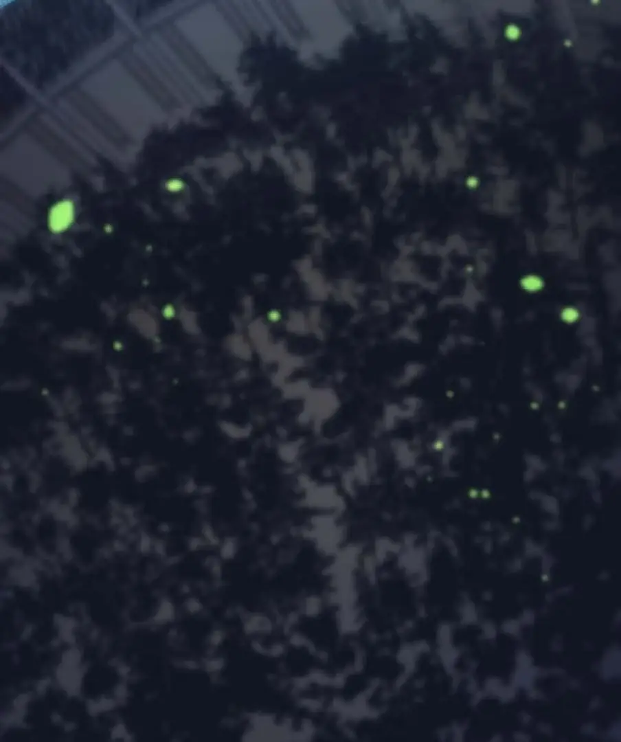 Read Tensei Streamer Manga Online