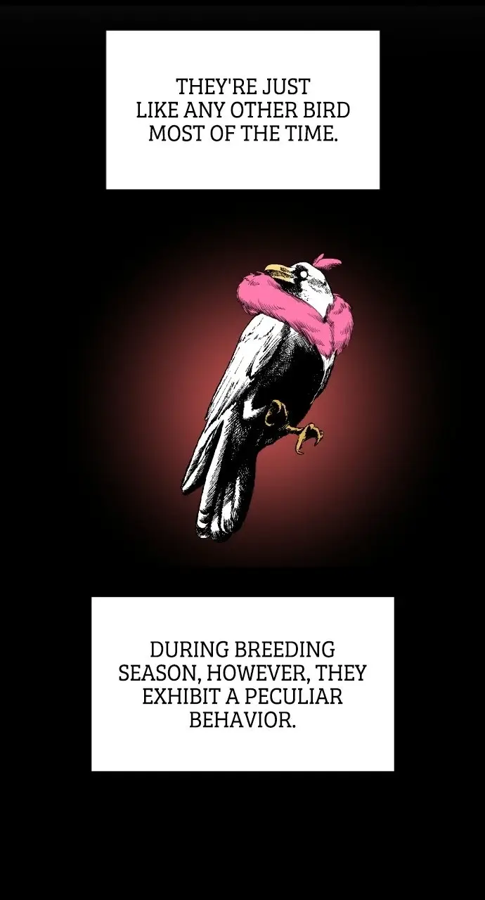 Read The Cloud Dream of the Nine - Zero Manga Online