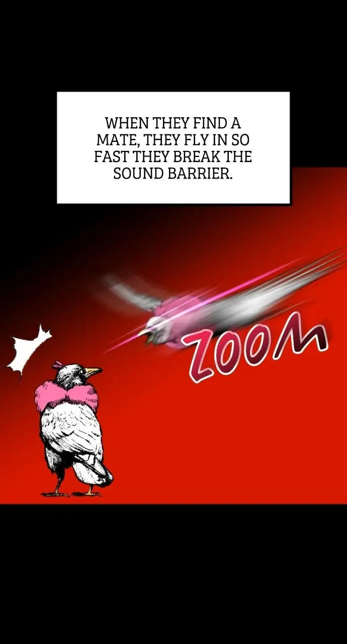 Read The Cloud Dream of the Nine - Zero Manga Online