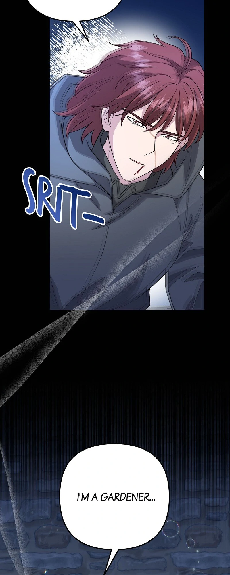 Read The Cursed Princess Must Rewind the Clock Manga Online