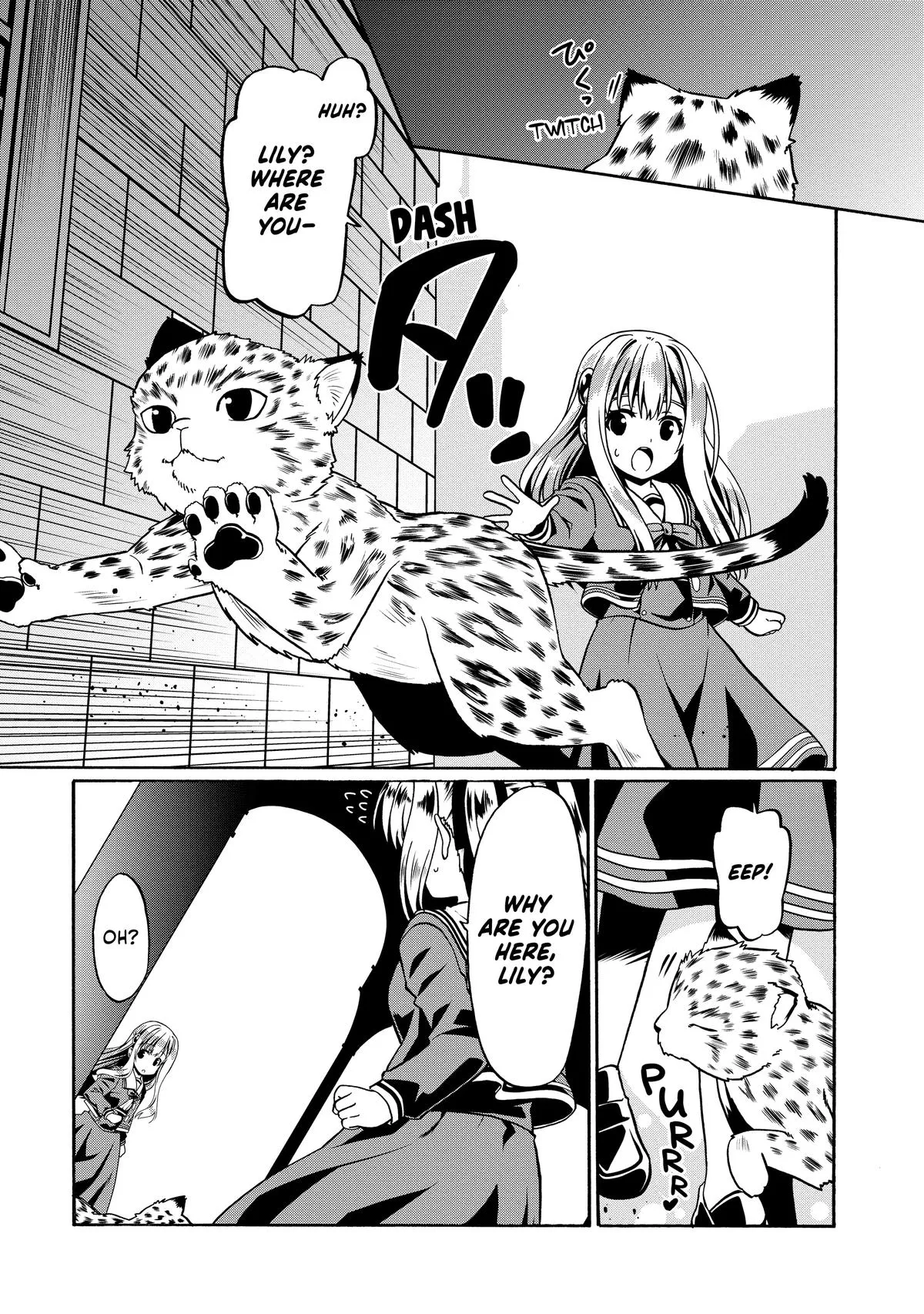 Read The Invincible Little Lady Manga Online