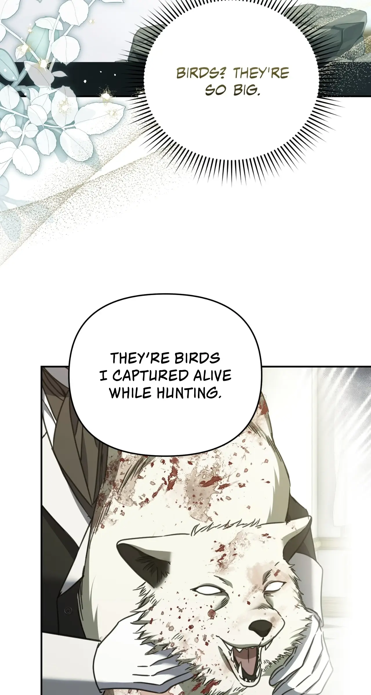 Read The Pearl of Albrecht Manga Online