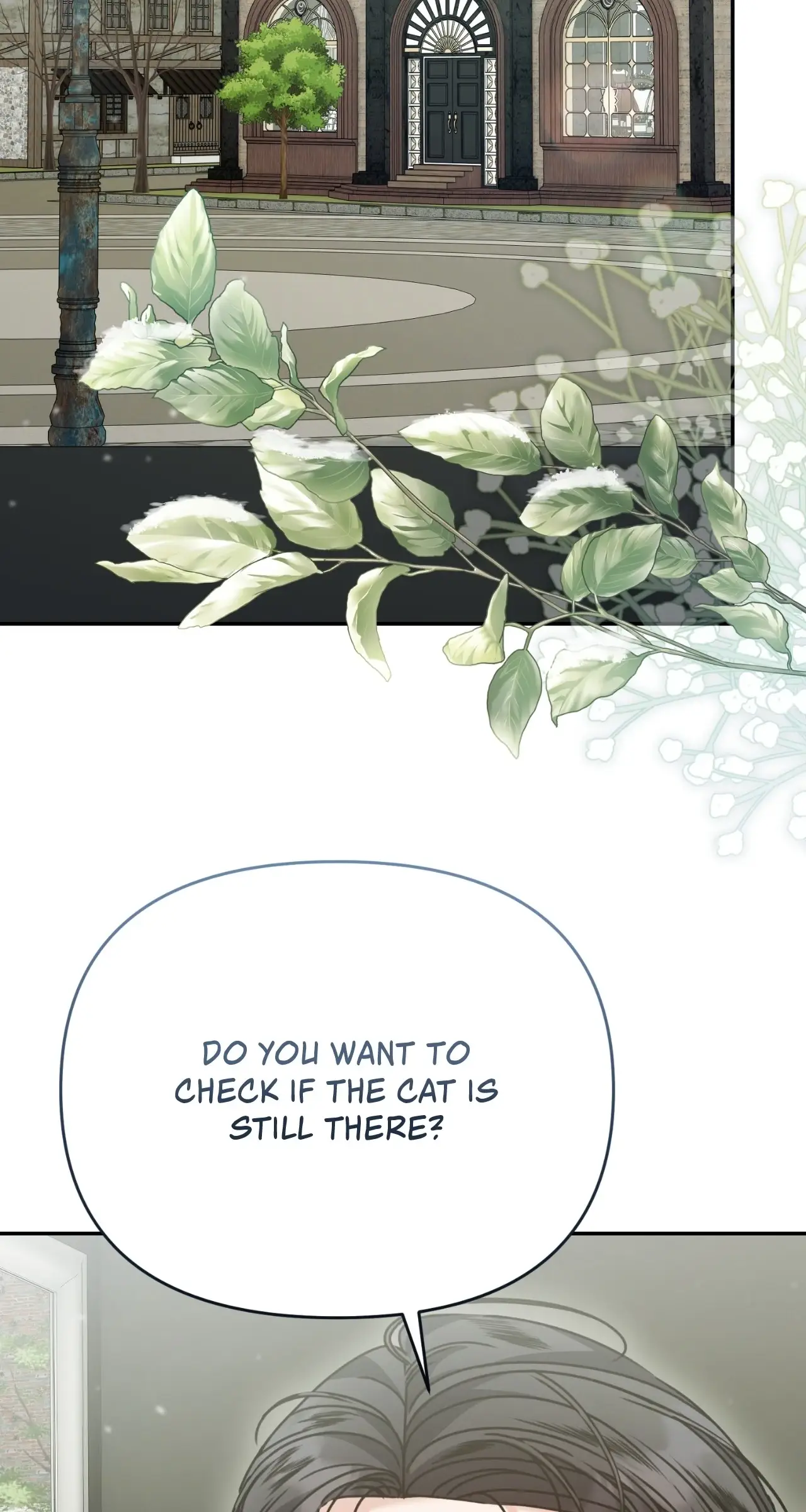 Read The Pearl of Albrecht Manga Online
