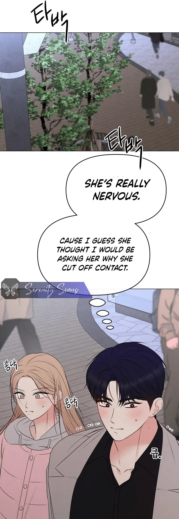 Read The Perfect Male Lead Manga Online