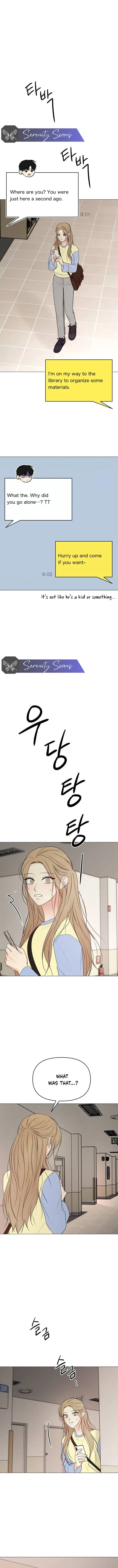 Read The Perfect Male Lead Manga Online