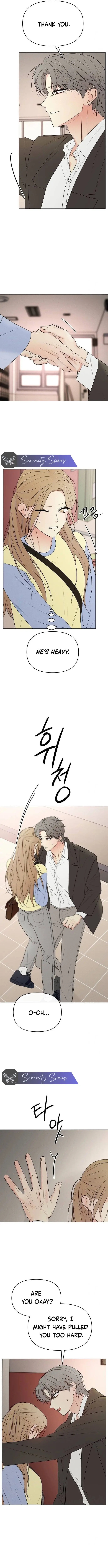 Read The Perfect Male Lead Manga Online