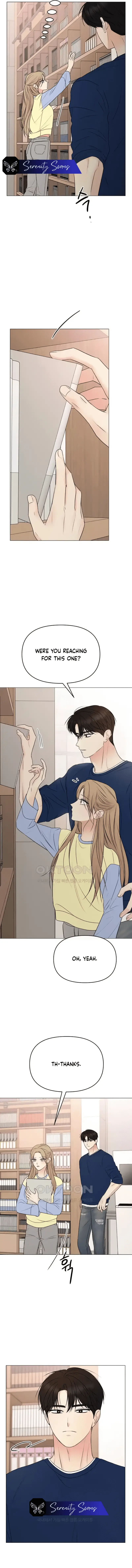 Read The Perfect Male Lead Manga Online