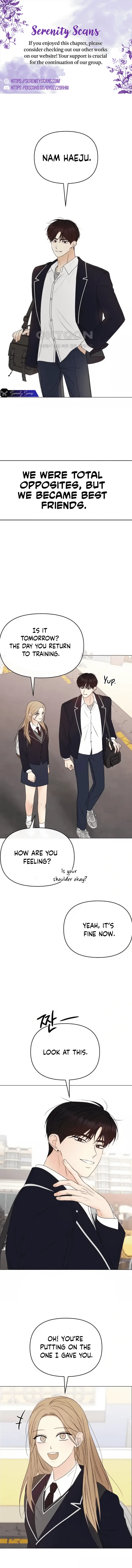 Read The Perfect Male Lead Manga Online