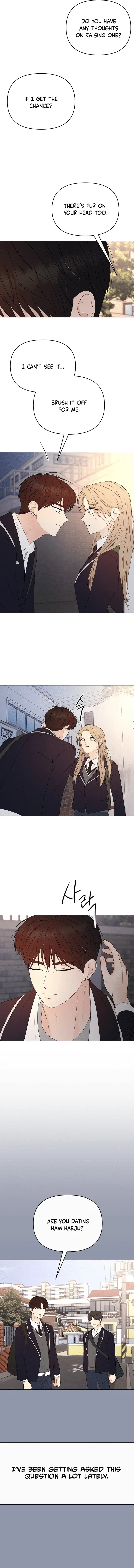 Read The Perfect Male Lead Manga Online