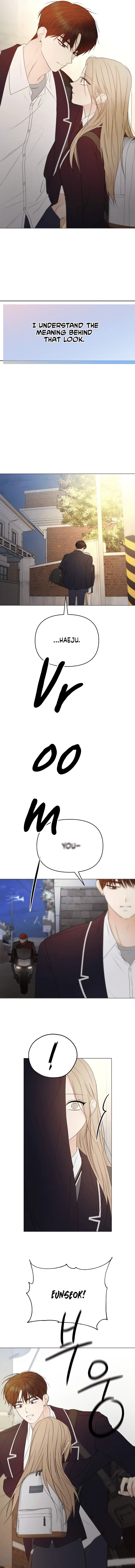 Read The Perfect Male Lead Manga Online