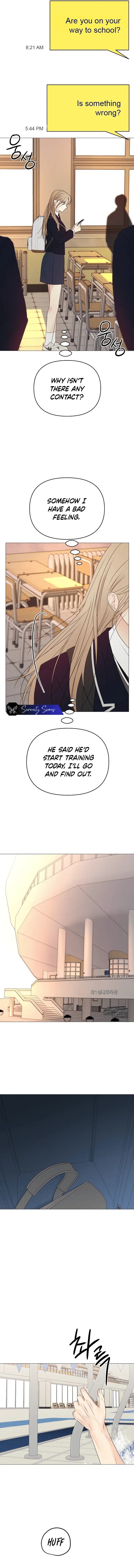 Read The Perfect Male Lead Manga Online