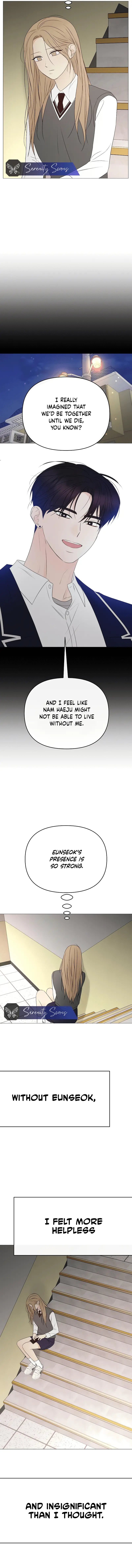 Read The Perfect Male Lead Manga Online