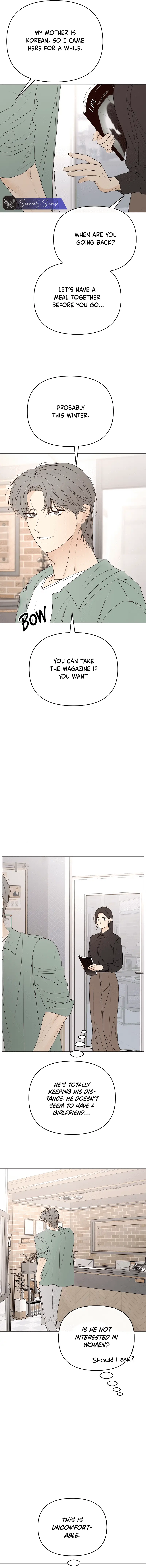 Read The Perfect Male Lead Manga Online